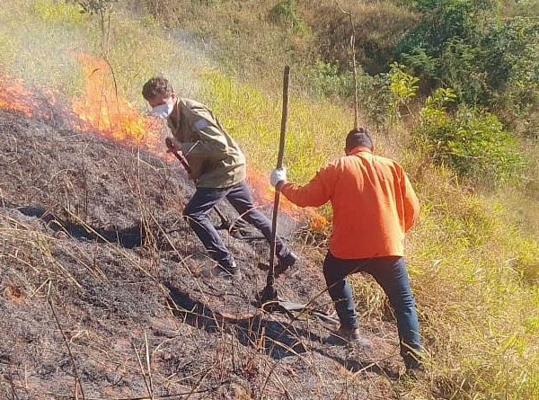 Defesa Civil registra aumento de 13% nas queimadas